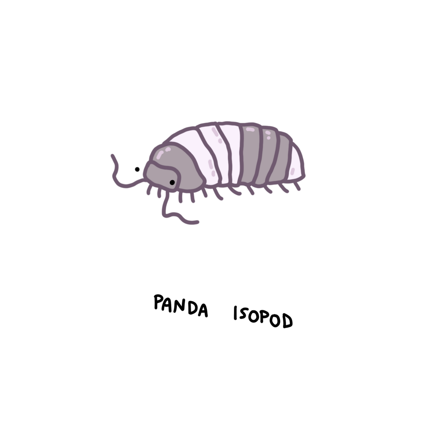 Panda King Isopods